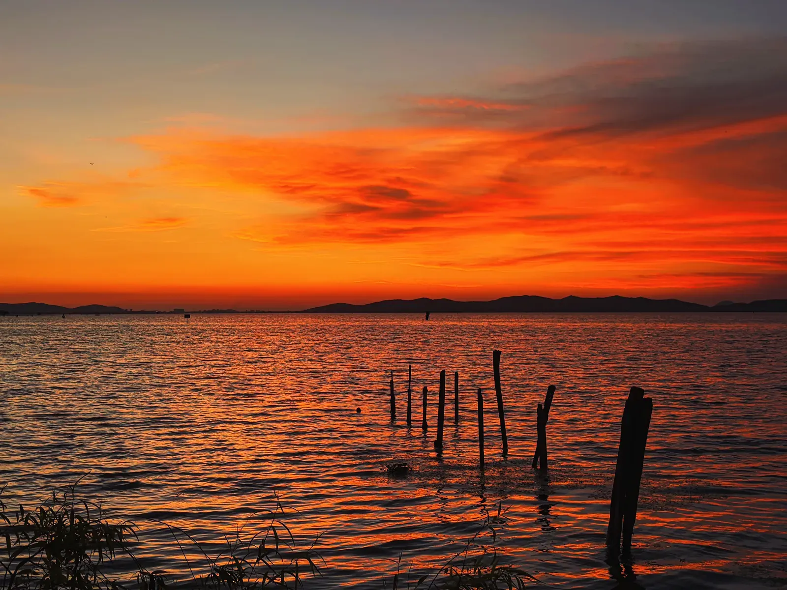 Wooden posts in still water under a burning orange sunset.