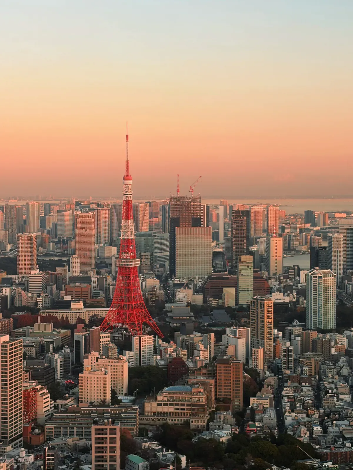 Red lattice tower over a hazy city in early morning light.